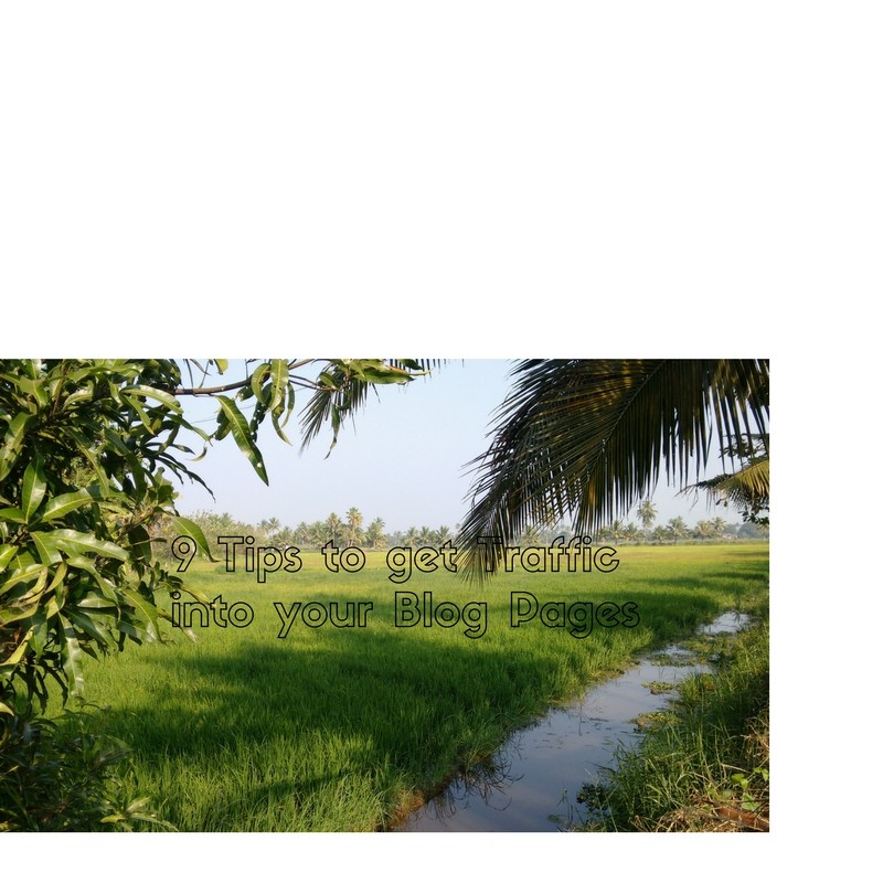 optimize blog for search engines