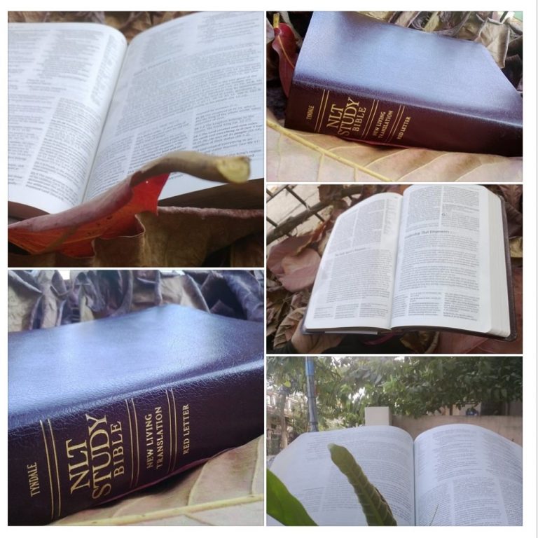 Bible The Best Book